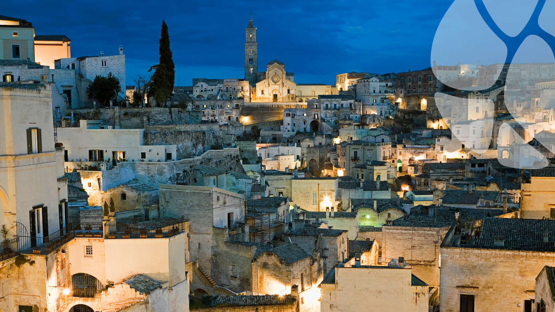 Rimbalzino_Getty Images per Canva Pro